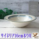 サイネリア 16cm サラダボウル リム レンジ可 食洗機対応 美濃焼 日本製 16センチ 1人用 煮物 深皿 皿 中皿 中鉢 シリアルボウル カフェオレボウル...