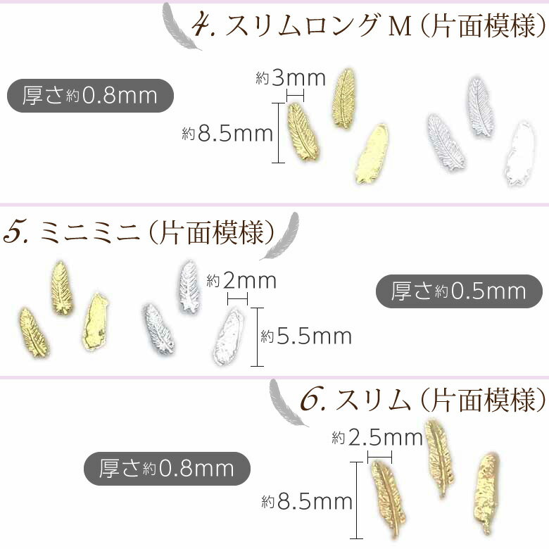 フェザー ＆ リーフ コレクション 各種 5枚入り