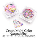 【SALE】ネイル 乱切り マルチカラー ナチュラルシェル ケース入り