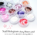 ネイル ホログラム 桜の花びら 約0.5g前後 ケース入り