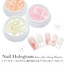 ネイル シアー カラー ホログラム 桜の花びら & ブリオン & パール セット ケース入り