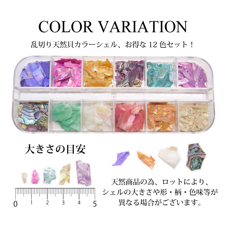 �ͥ��� �ѡ��� ������ �ե졼�� 12�����å�