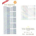 【在庫限りSALE】ツメキラ T31 ピンストライプ レインボー(ジェル専用) ネイルシール SG-PIN-203 33082