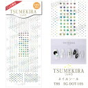 【SPRING SALE 50%OFF】ツメキラ T86 Dot レインボー （ジェル専用） ネイルシール SG-DOT-105 80660