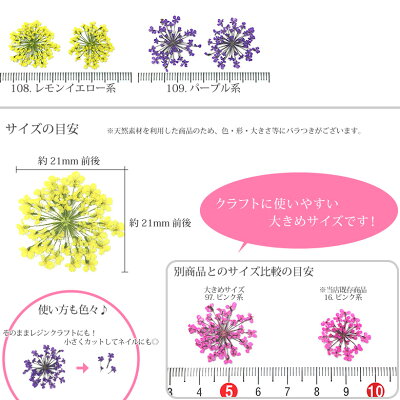 押し花 ドライフラワー