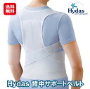 Hydas 背中サポートベルト 【送料無料】【ポイント 2倍～10倍】猫背矯正ベルト 姿勢矯正ベルト 背筋矯正 ハイダス 姿勢からくる首 肩 腰の痛みに。正しい姿勢を目指そう！猫背矯正ベルト 中山式 ファミリーライフ dp