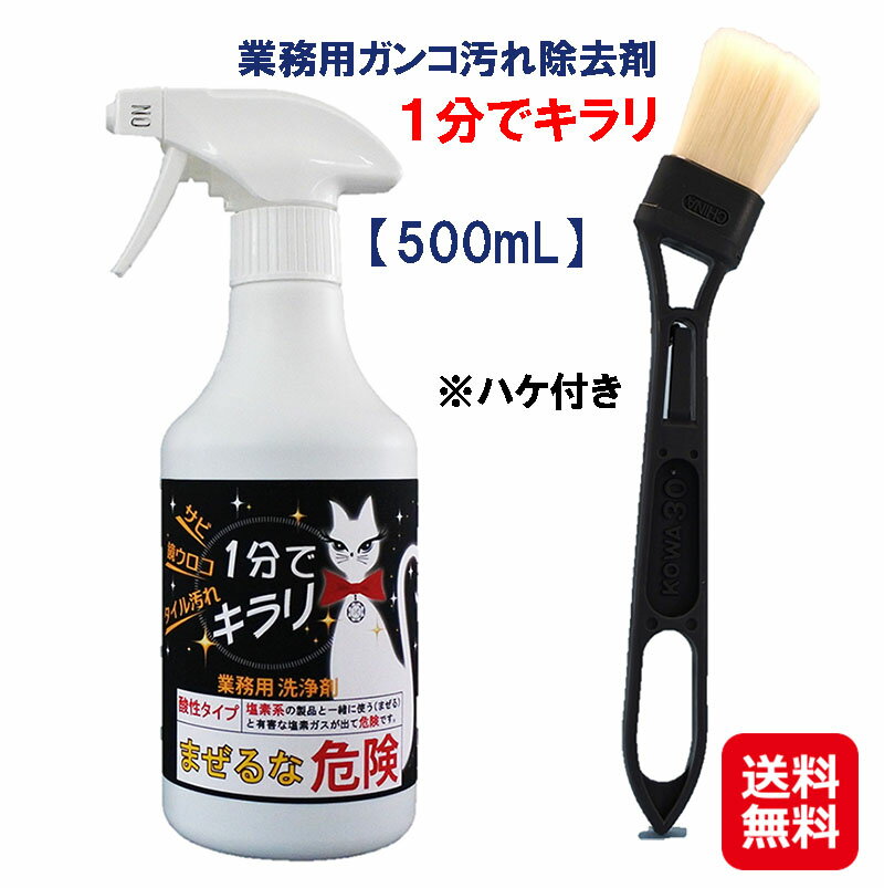 汚れ除去剤 万能 洗剤 クリーナー 研磨剤不使用 鏡のウロコ 水アカ サビ汚れ 1分でキラリ！ dap