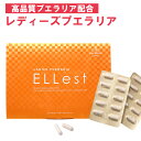 プエラリア サプリ バストケア サプリ 高品質 高純度 プラ...