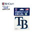 WINCRAFT ウィンクラフト タンパベイ レイズ ステッカー Tampa Bay Rays Perfect Cut Color Decal 4x4..