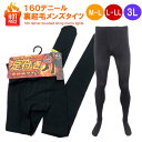 送料無料 足付き タイツ メンズ レギンス 前開き 静電加工 160デニール M-L L-LL 3L 秋冬 あったか裏起毛 メンズタイツ つま先 かかと もしっ...