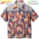 SUN SURF,AnVc,mG^[vCY,Pineapple,pCibv,SS36441