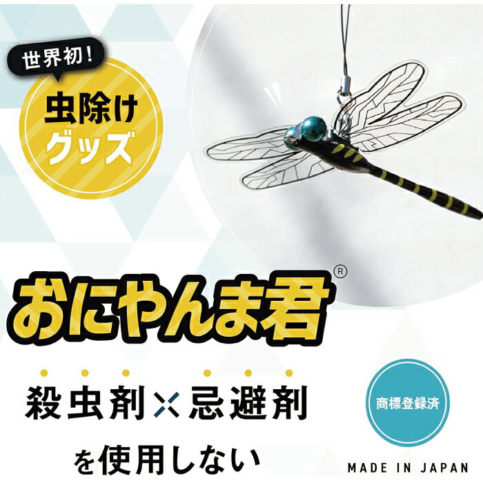 ���ˤ��޷� ��褱 ������ ���ѥ����� ���Ρ����ѥ��������å� ���˥��� ����� ��褱 ��ͽ�� ����� �쥸�㡼 ������ ��� BBQ �����ȥɥ����� ����������