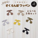 ワッペン アイロン ( さくらんぼ / チェリー / フルーツ / 選べる 5枚セット / くすみ カラー )| 大人向け 小さい 小さめ ミニワッペン ワンポイント 保育園 帽子 アップリケ 入園 入学 入園準備 入学準備