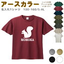 【11月～店内一斉値上げ　マラソン期間限定最大1000円OFFクーポン有】 名入れ Tシャツ [ 100-XL ] ( リス どんぐり ) | リンクコーデ 親子 セット キッズ 子供 レディース メンズ おおきいサイズ 女の子 男の子 100 110 120 130 140 1