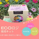 エコ栽培キット(バジル)