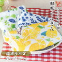 【送料無料】【日本製】奈良の蚊帳のふきん5枚合わせ生地 3枚セット(3柄各1枚) 30cm ×40cm ハナウメ ブルーガーデン オリーブ プレゼント ギフト ...