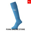 『ポイント10倍 12/3 20:00〜12/6 01:59』メンズ サッカー リーガ ストッキング