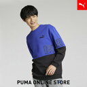 『ポイント20倍 5/30 0:00〜5/31 01:59』【 公式 】 PUMA プーマ クルースウェット メンズ 【 メンズ プーマ パワー MX クルース...