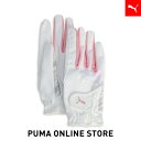 ウィメンズ ゴルフ W パワー グリップ グローブ 両手用