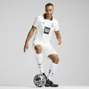 puma:10059225のサンプル画像3