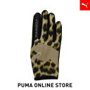 メンズ ゴルフ フリー グラフィック グローブ 右手用 メンズ