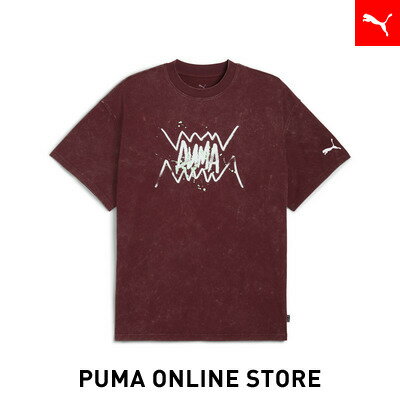 『ポイント10倍 11/20 0:00～11/21 01:59』ユニセックス バスケットボール ポインツ イン ザ ペイント 半袖 Tシャツ ユニセックス