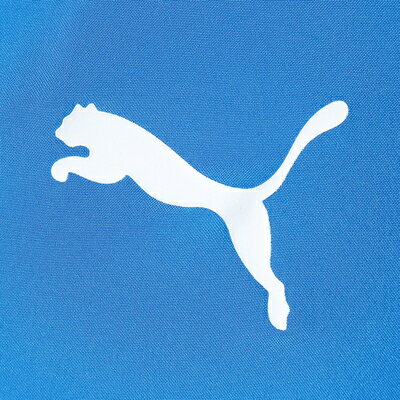 『ポイント20倍 11/25 0:00-11/26 1:59』【公式】PUMA プーマ キッズ ジャージ サッカー 【キッズ サッカー TEAMRISE サイドライン ジャケット 120-160cm】安売り サッカー 用品 セール