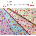 【1mカット生地】オックス生地Cute Sweet Cherry柄