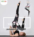 パンツ ヨガウェア レディース YOGA PANTS ダンスウェア ズボン ストレッチ スキニーパンツ レッスンウェア 練習着 ロング丈 ボトムス 柔らかい コンフォート カジュアルウェア ヨガ バレエダンス ピラティス リラックスヨガ パワーヨガ 欧米風 舞台演出服 S M L XL