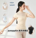 ダンスウェア レディース ヨガウェア バレエダンス Tシャツ トップス ハイネック シースルー 古典舞踊 ピラティス リラックス パワーヨガ レッスンウェア 練...