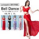 ベリーダンス 衣装 セット レッスン着 練習着 トップス 半袖 上下2点セットアップ トップス ヒップスカープ スカート レッスンウェア ラメ入り ダンス 衣装 ステージ衣装 社交ダンス 舞台衣装 レディース ダンスウェア 上下セット インナーパンツ付き 赤 黒 パープル ピンク