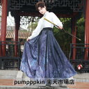 新作 漢服 男性 上質 着痩せ 中華服 日常着可 イベント 学園祭 侠客衣装 中国古代 中華コスプレ衣装 武術 カンフー 時代劇 華流 舞台ステージ衣装 上下2点セット 長袖 刺繍トップス ロング丈 袴風 プリント 巻きスカート 大人用 チャイナ服 パーティー 写真撮影 白 パープル
