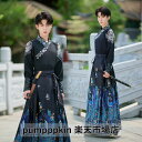 中華服 大人 黒系 漢服 メンズ コスプレ衣装 コスチューム 変装 華流 舞台ステージ衣装 チャイナ服 上下2~3点セットアップ 長袖 交差襟 刺繍 トップス 鳳凰柄 巻きスカート 腕カバー イベント 学園祭 文化祭 中国侠客 時代劇 ダンス衣装 カンフー 武術 仮装 ブラック S~4XL