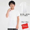 【ポイント5倍 SALE】ヘインズ 半袖 Tシャツ 2枚セット 綿100 インナー 下着 肌着 キッズ 子供服【メール便 送料無料】 男の子 女の子 トップス ブランド 子供 通学 スポーツ シンプル 定番 国内正規品 hanes kids 子ども服 小学生 学校 中学生 旅行 合宿