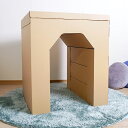 トンネル 大きい 大型 ダンボール 遊具 日本製 段ボール 子供 おもちゃ プレゼント 室内 工作 親子 乗る 孫 ギフト 運動 4人 5人 遊び イベント 幼稚園 保育園 学校 祭 行事 punnyほいく 施設 祭事 潜る 楽しい