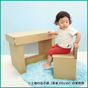 デスク & チェア 【年長用】 学習机 勉強机 ダンボール 日本製 段ボール シンプル 机 テーブル 椅子 誕生日 プレゼント 子供 孫 3 4 5歳 エコ コ...