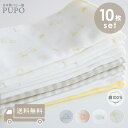 PUPO 日本製 ガーゼハンカチ 10枚セット