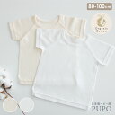 日本製 半袖 丸首 インナー シャツ 綿 100% オーガニックコットン スムース ホワイト アイボリー