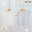 日本製 半袖 丸首 インナー シャツ 綿100% オーガニックコットン