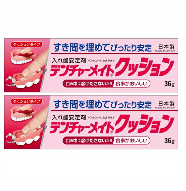 ●2個セット・メール便● 数量限定！デンチャーメイトクッション 入れ歯安定剤 クッションタイプ 36g SB-036
