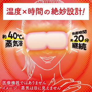 ■6個セット・送料無料■数量限定! めぐりズム　蒸気めぐるアイマスク　アソートセット　12枚入り　セット内容（無香料・ラベンダー・ひのき・金木犀・森林浴・ゆず）各1個　蒸気でホットアイマスク (3)