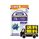 【マラソン期間中エントリーでポイント5倍】小林製薬 ブルーベリー　60日分 60粒 送料無料 メール便 栄養補助食品 サ…