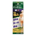 □送料無料□数量限定!【第2類医薬品】バンテリンコーワ液α 90g【セルフメディケーション税制対象】