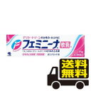 ☆メール便・送料無料☆ フェミニーナ軟膏S 15g 小林製薬 【第2類医薬品】(セルフメディケーション税制対象)代引き不可