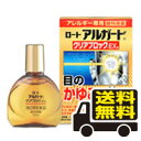 ☆メール便・送料無料☆ ロートアルガードクリアブロックEXa...