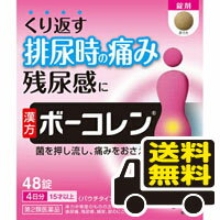 ☆メール便・送料無料☆数量限定！ ボーコレン 48錠入り 【第2類医薬品】 代引き不可 送料無料 メール便