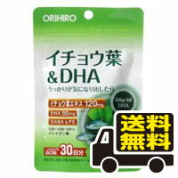 ☆メール便・送料無料☆ PD イチョウ葉＆DHA 60粒　オリヒロ　代引き不可 送料無料 サプリメント