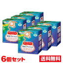 ■6個セット・送料無料■ 数量限定！花王 めぐりズム 蒸気でホットアイマスク 森林浴の香り 12枚入