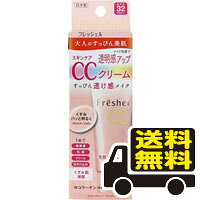 ☆メール便・送料無料☆カネボウ フレッシェル スキンケアCCクリーム(50g) Freshel 代引き不可(bea-14679-4973167155417)