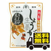 ☆メール便・送料無料☆うどんや風一夜薬 しょうが飴 辛味絶佳 小袋70g 代引き不可(foo-00134-4987025003451)